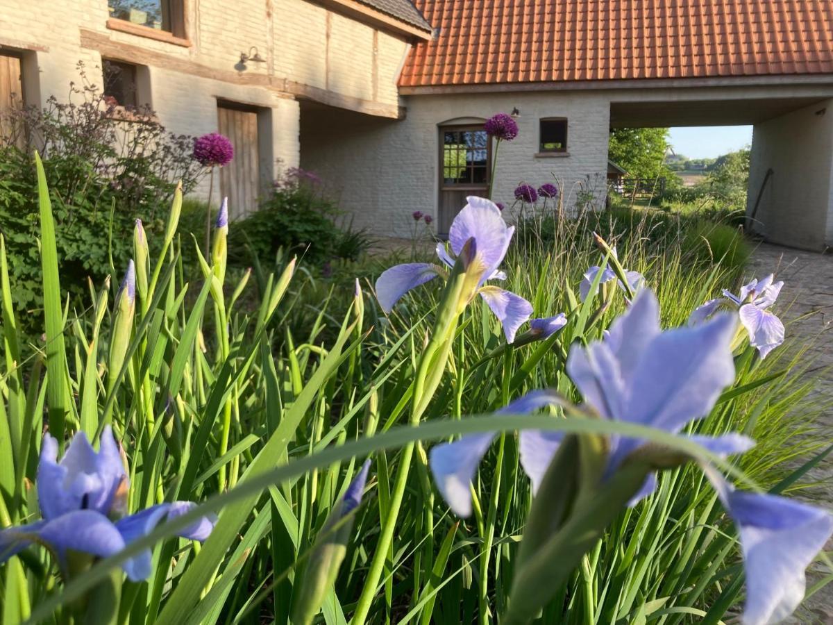 Nachtegael Hoekhuis, Knusse Woning Met Prachtig Vergezicht Hébergement de vacances *