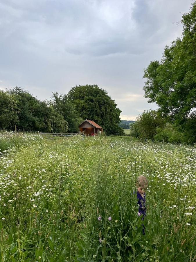 Nachtegael Hoekhuis, Knusse Woning Met Prachtig Vergezicht * Kluisbergen